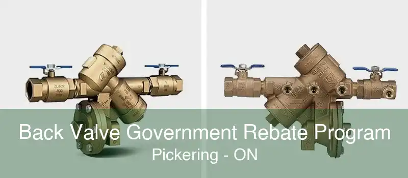 Back Valve Government Rebate Program Pickering - ON