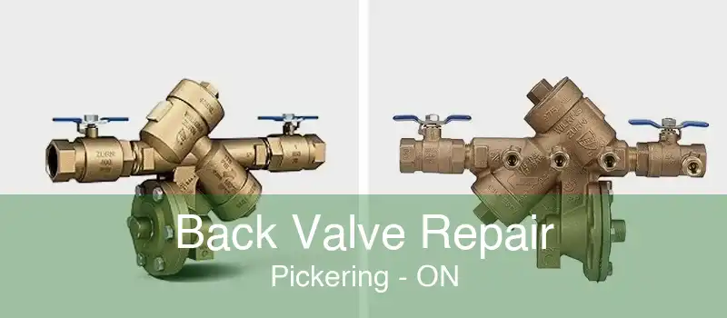 Back Valve Repair Pickering - ON