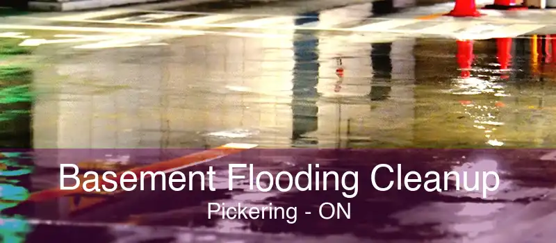 Basement Flooding Cleanup Pickering - ON