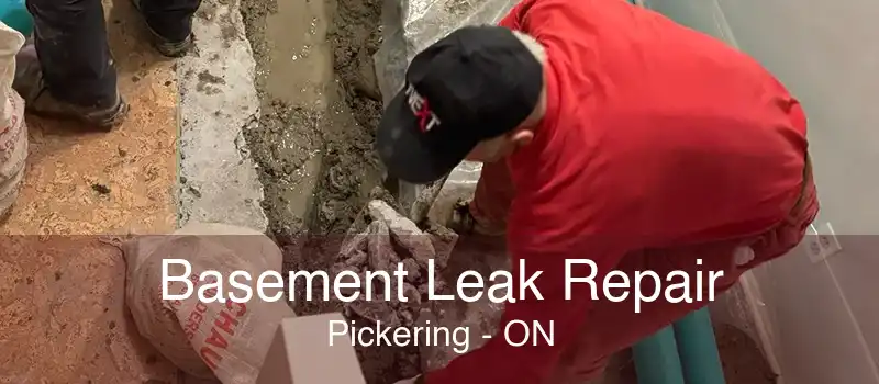 Basement Leak Repair Pickering - ON