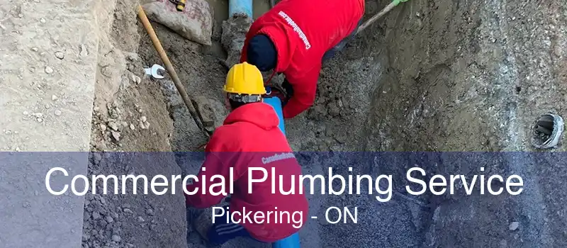 Commercial Plumbing Service Pickering - ON