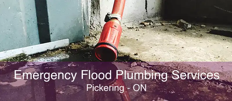 Emergency Flood Plumbing Services Pickering - ON