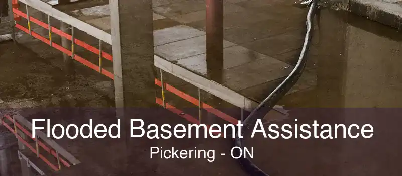 Flooded Basement Assistance Pickering - ON