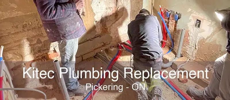 Kitec Plumbing Replacement Pickering - ON