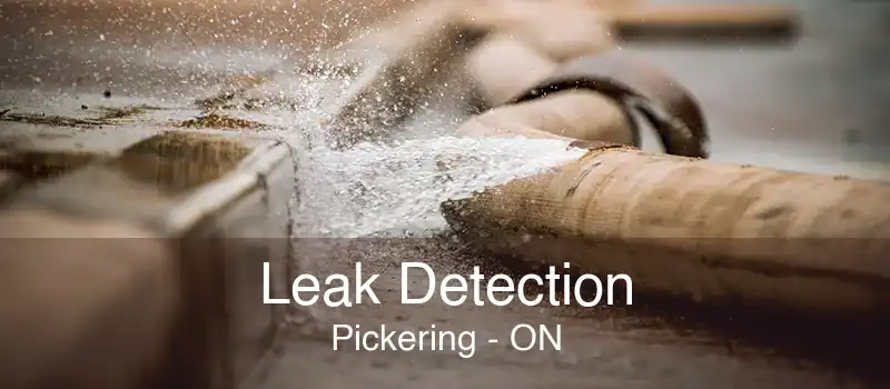 Leak Detection Pickering - ON