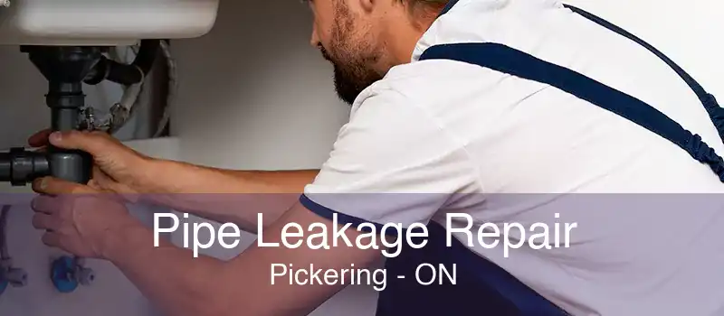 Pipe Leakage Repair Pickering - ON