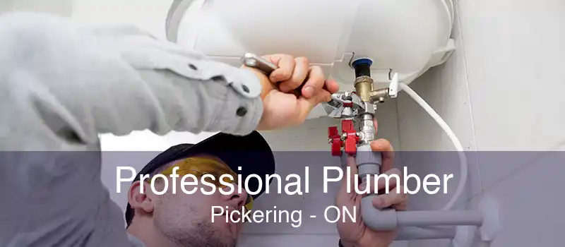 Professional Plumber Pickering - ON