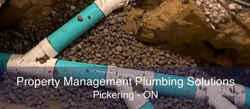 Property Management Plumbing Solutions Pickering - ON