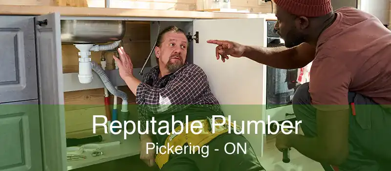 Reputable Plumber Pickering - ON