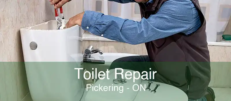 Toilet Repair Pickering - ON