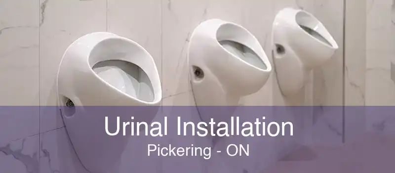 Urinal Installation Pickering - ON