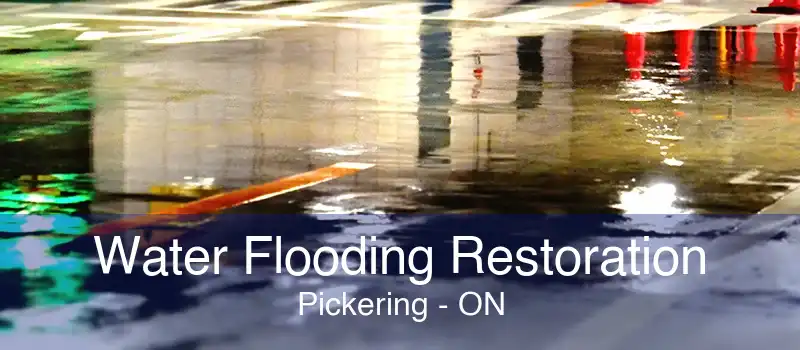 Water Flooding Restoration Pickering - ON