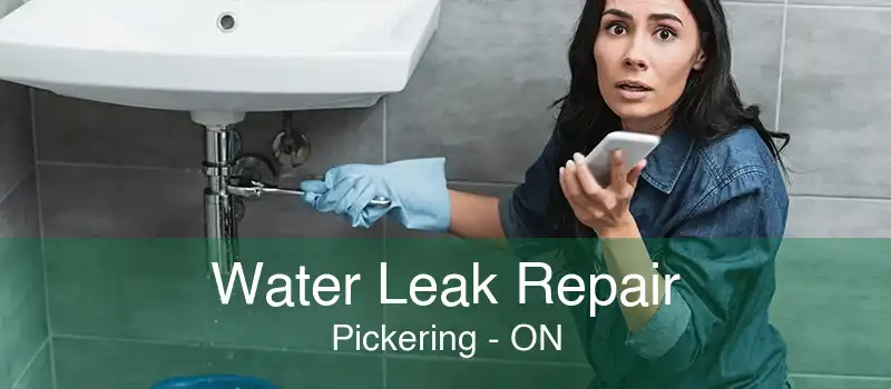 Water Leak Repair Pickering - ON