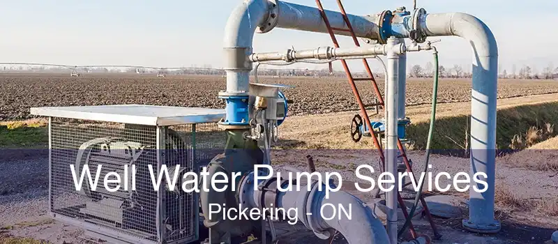 Well Water Pump Services Pickering - ON